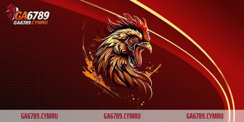 Làm quen với cựa sắt