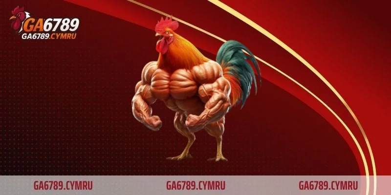 Gà chọi vảy rồng bí ẩn và sức mạnh khó lường của chiến kê